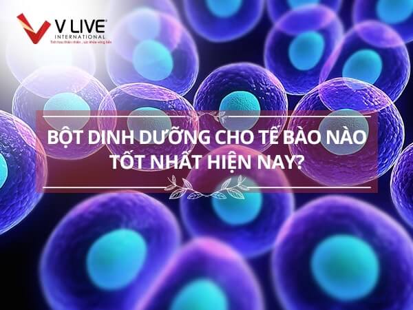 Bột dinh dưỡng cho tế bào tốt nhất hiện nay