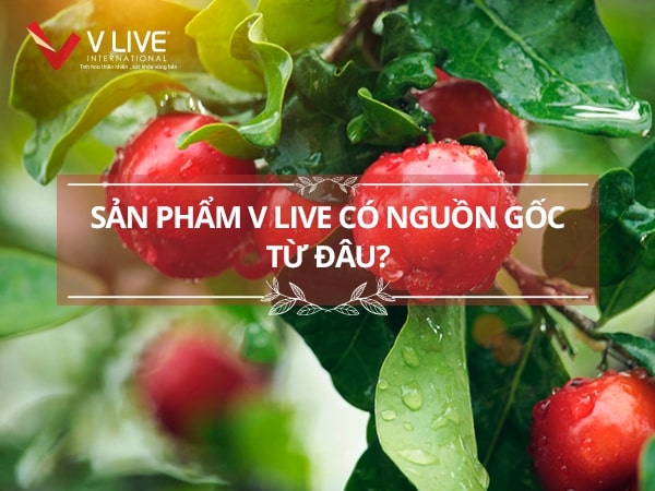 Nguồn gốc của sản phẩm V Live từ đâu? V Live của nước nào?