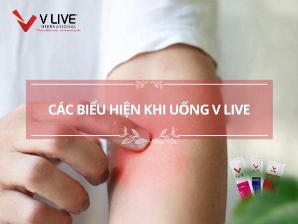 Phản ứng khi uống V Live là gì?