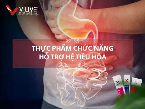 Thực phẩm chức năng hỗ trợ hệ tiêu hóa cho người lớn nào tốt hiện nay