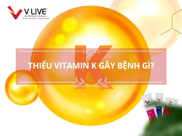 Cơ thể nếu thiếu vitamin K gây bệnh gì?